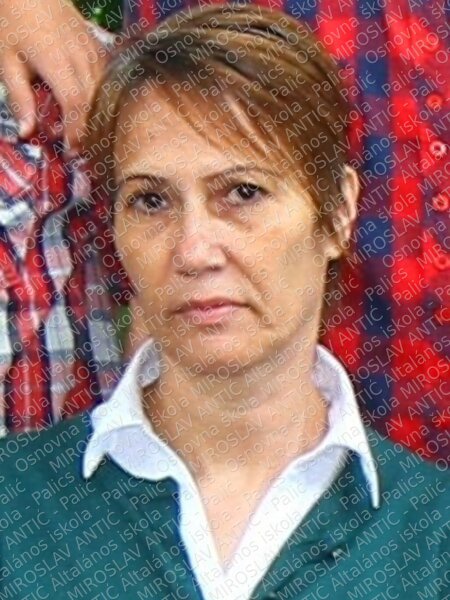 tesic 2016 main