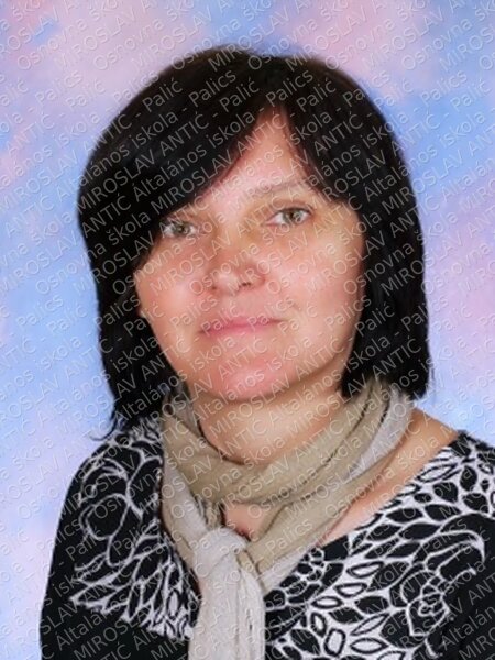 14024markovic vera 2015 main