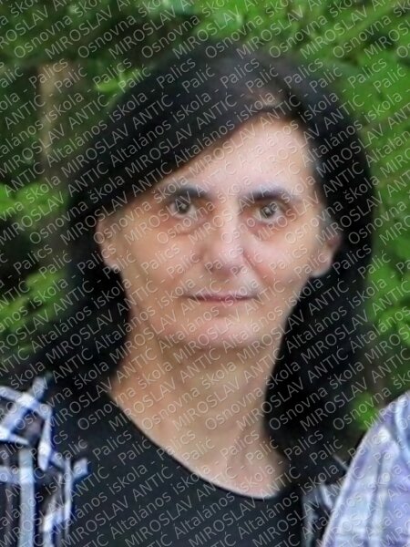 sisic gordana 2022 main