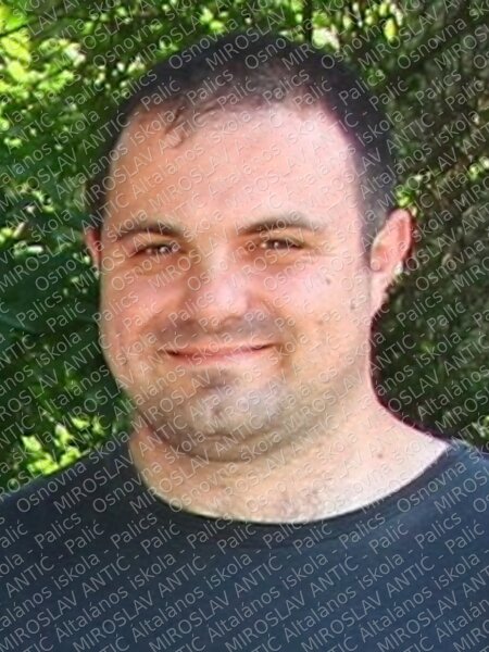 plavsic nenad 2015 main