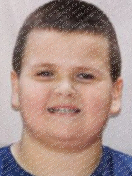 šimić veličan filip