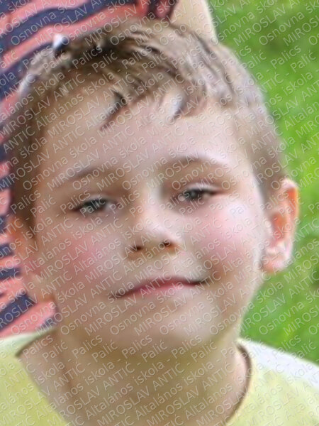 jevremov andrej đorđe