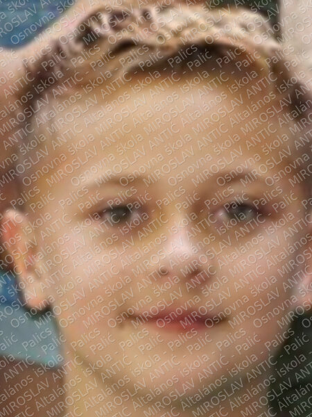 filipaš šanta daniel