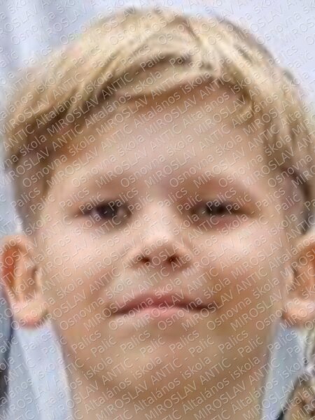 kovač sadović noel