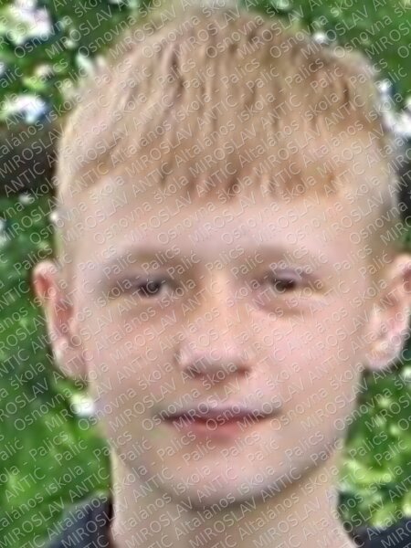 4211piuković maksim