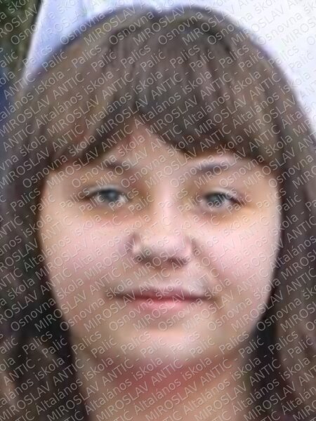 7936horvat militiči stela