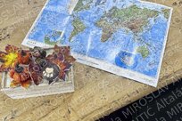 viber slika 2025 10 31 12 36 46 473