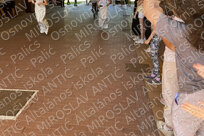 10821img 0537
