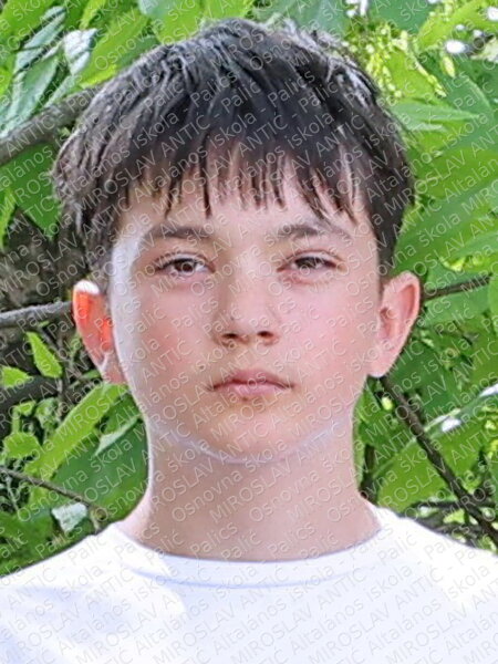 Aleks Šebešćen