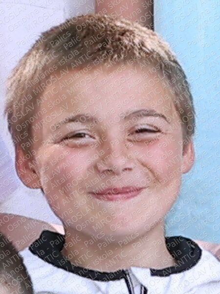 avramov t