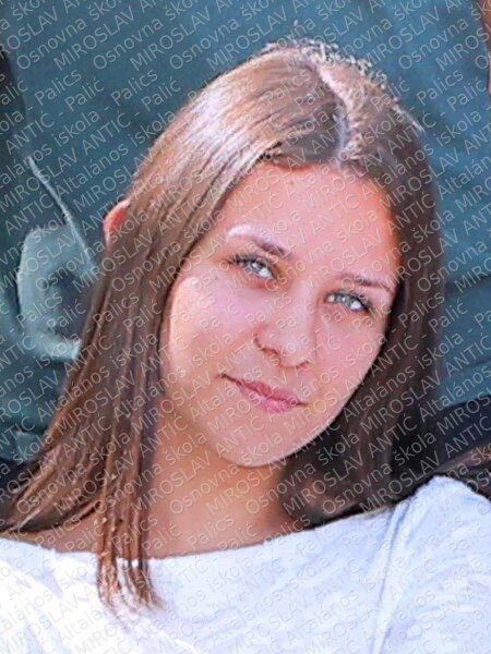 zsanet