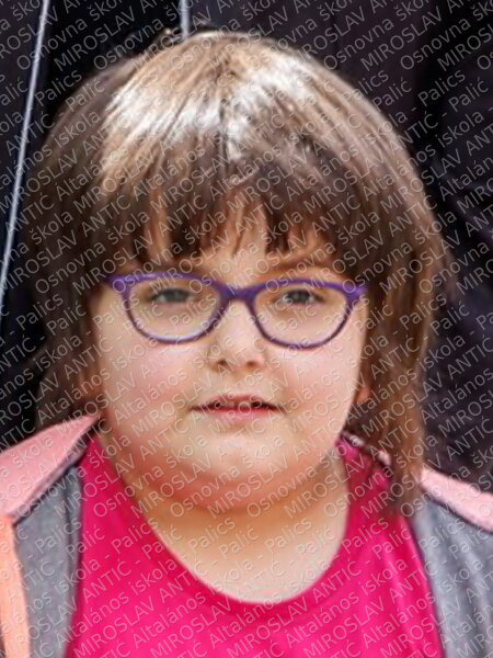 Dragica Krajišnik